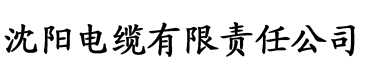 大黄瓜网页电缆厂logo